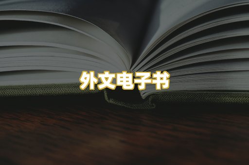 外文电子书